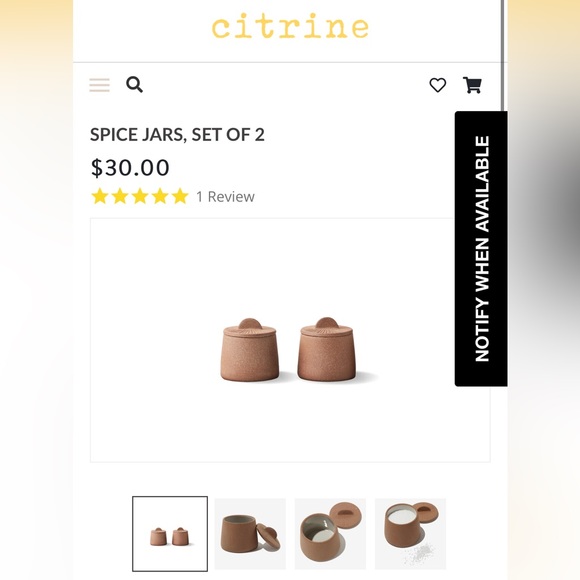 Citrine Spice Jars - Set of 2 - Picture 1 of 2